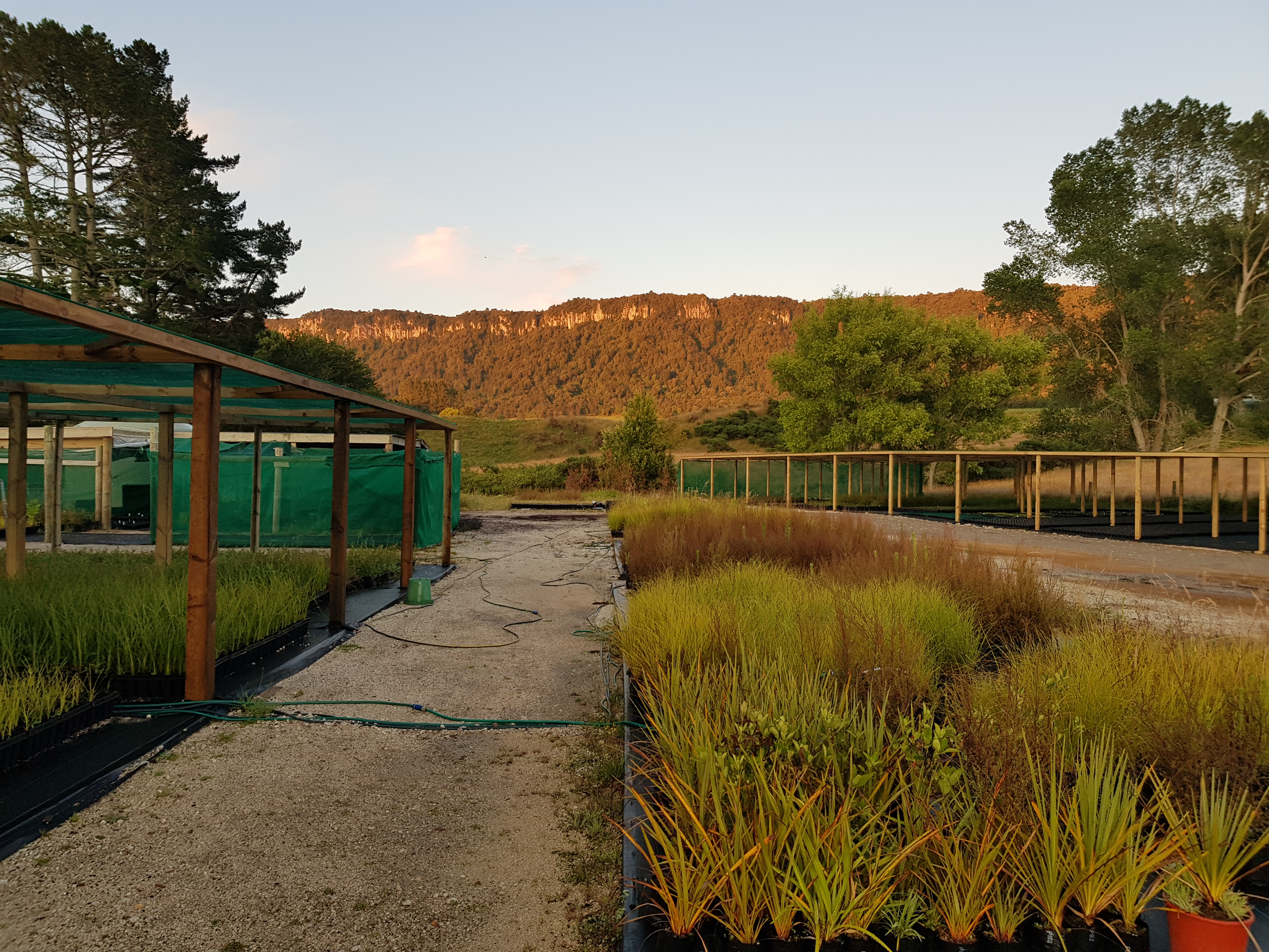 Landscape Technician – Horohoro Native Tree Nursery