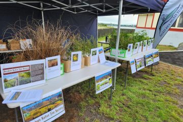 GALLERY Environment 4Gn9qMHj (16)